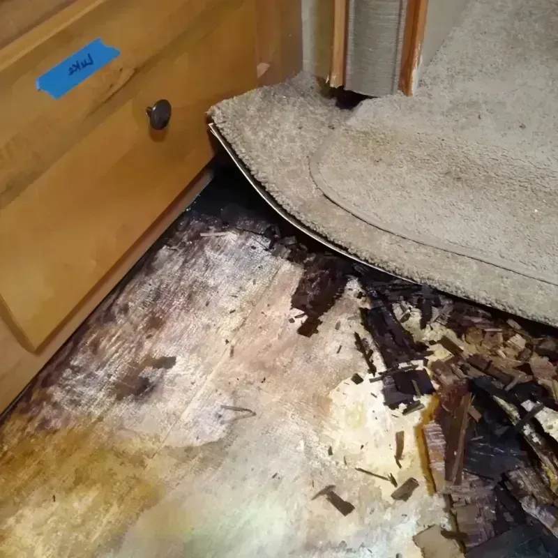 Best Wood Floor Water Damage Service in Wabaunsee County, KS